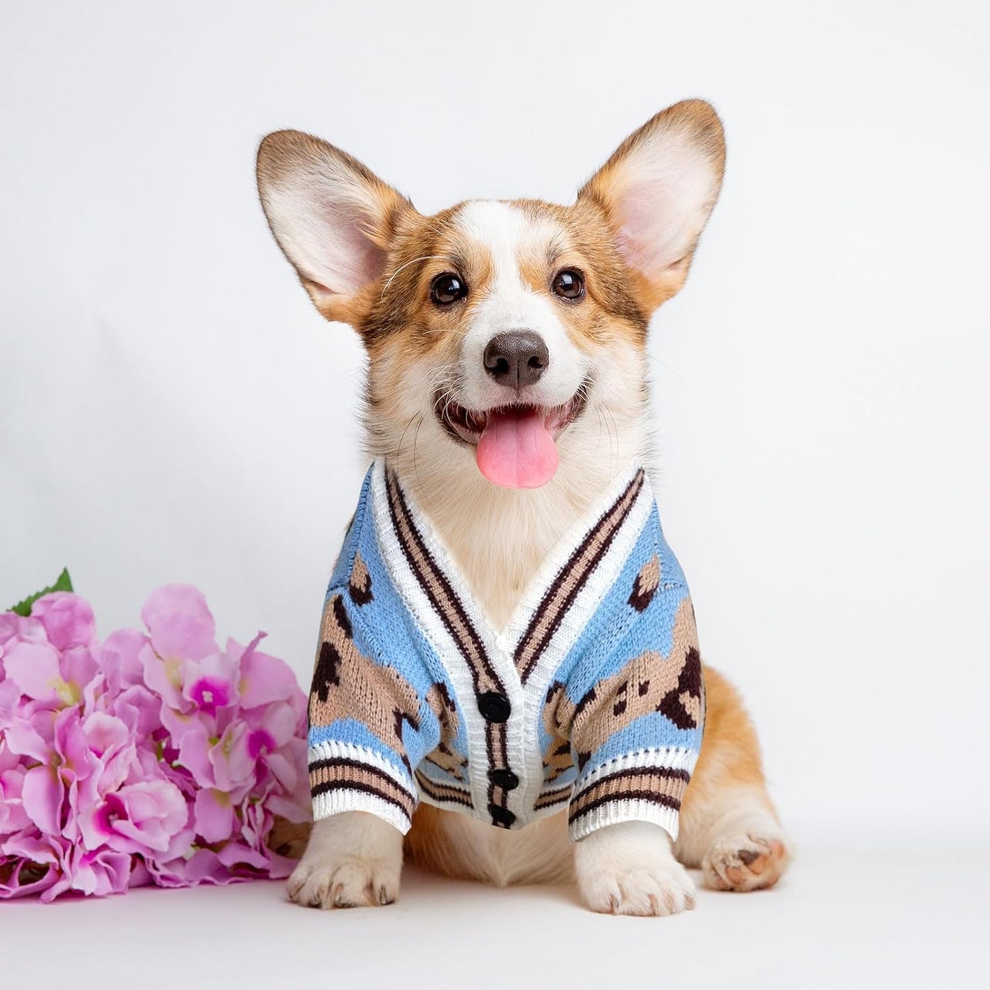 Dog Sweaters Cute Bear Knitted Dog Clothes for Small Medium Dogs Soft Pet Puppy Cat Knitting Outfits Fall Winter Warm Boy Girl Dogs Knitwear Coat Apparel(Blue,Small)