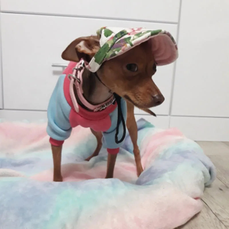 Dog Baseball Cap Adjustable Dog Outdoor Sport Sun Protection Baseball Hat Cap Visor Sunbonnet Outfit for Puppy Small Dog Pet Cat