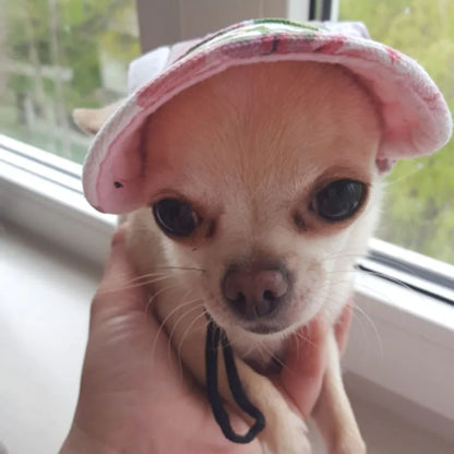 Dog Baseball Cap Adjustable Dog Outdoor Sport Sun Protection Baseball Hat Cap Visor Sunbonnet Outfit for Puppy Small Dog Pet Cat