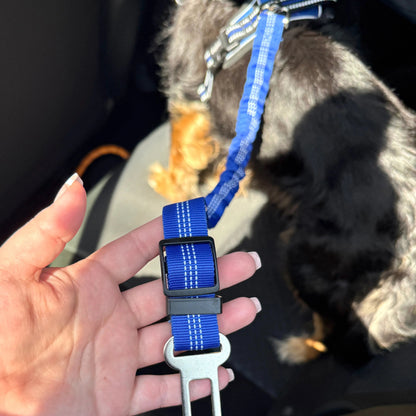 Pet Seat Belt Leash