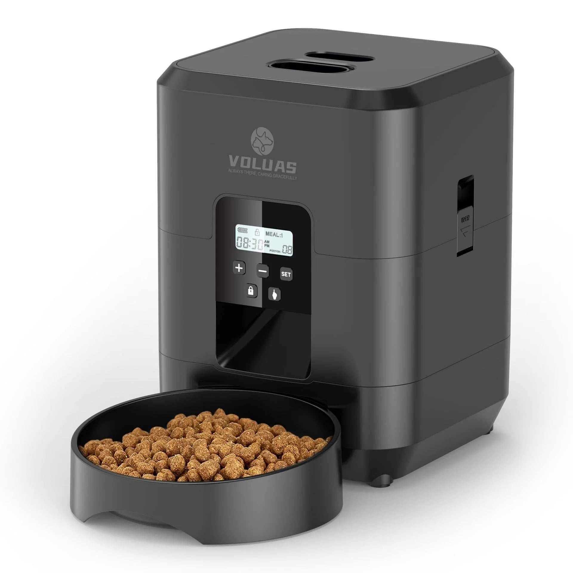 Pet Intelligent Automatic Feeder