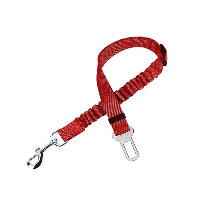 Pet Seat Belt Leash