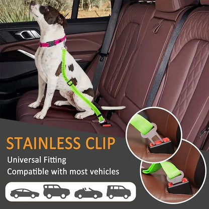 Pet Seat Belt Leash