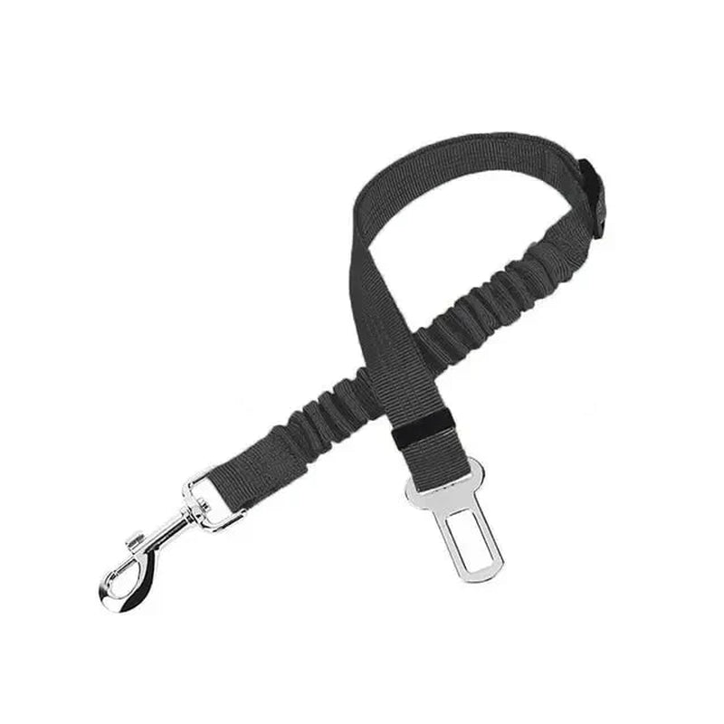 Pet Seat Belt Leash