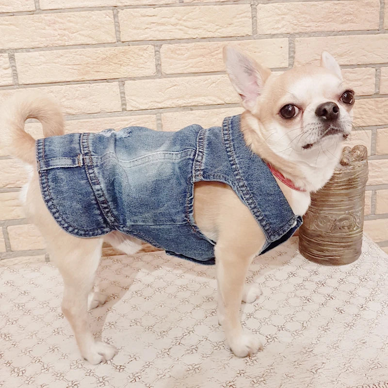XS-2XL Denim Dog Clothes Cowboy Pet Dog Coat Puppy Clothing for Small Dogs Jeans Jacket Dog Vest Coat Puppy Outfits Cat Clothes