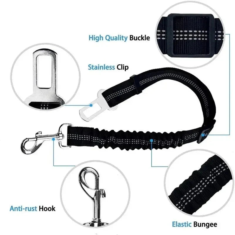 Pet Seat Belt Leash