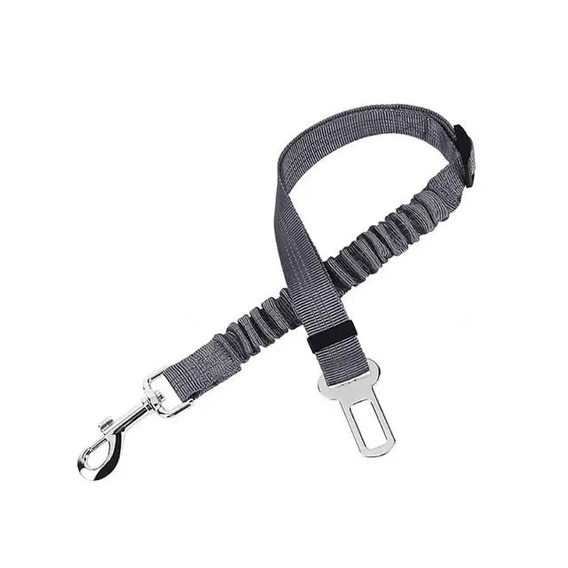Pet Seat Belt Leash